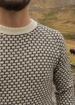 Kajiri Alpaca Sweater